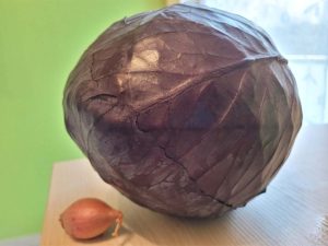 Read more about the article Rotkohl, Rotkraut, Blaukraut, Blau- oder Rotchabis –  Brassica oleracea: Blaukraut bleibt Blaukraut